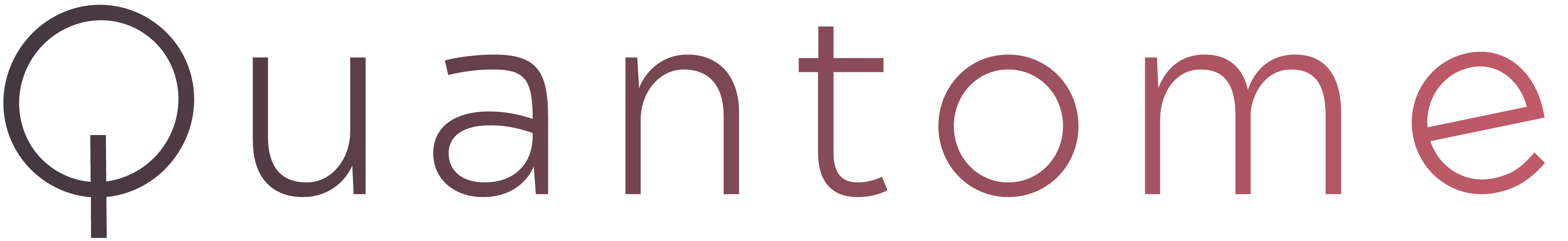 Quantome